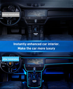 Automotive cold light ambient light