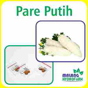Benih Pare Putih Unggulan Berkualitas biji bibit repack paria bodas hijau hydroponik hidroponik sayur sayuran tanaman berbiji pot