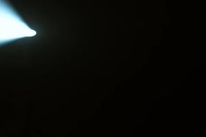 MHW-3ER MANILA Wright Cups Hand painted 240ml Limited edition