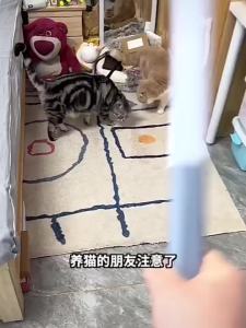 AUhair remover lint roller cat hair remover dog hair vacuum cleaner for cleaning carpets and beds