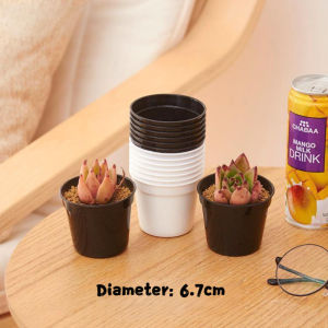 10/20/30pcs Mini Planting Pots PP Plastic Seedling Nursery Pot Cactus and Succulent Flower Desk Pot
