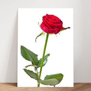 Hiasan/Poster Dinding Ruang Tamu & Kamar Gantungan Pintu Bunga/Tanaman ART