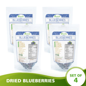 Greenola Dried Blueberries 100g Set of 4