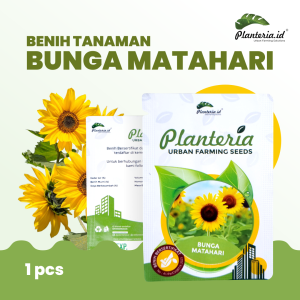 Benih Bunga Matahari Kemasan Urbanfarming Bersertifikat 50 butir