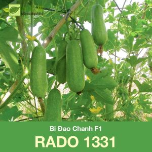 Hạt Giống Bí Đao Chanh Lai F1 Dễ Trồng Siêu Trái Cao Sản