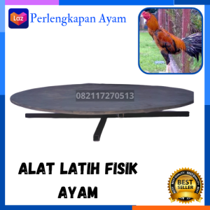 Treadmil Injak Alat Olaraga Ayam Treadmil Untuk Ayam Alat Latih Fisik Ayam Bangkok