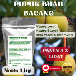 Pupuk Booster Bacang Pelebat Organik Cepat Berbuah Lebat Besar Anti Rontok Pembesar Bacang