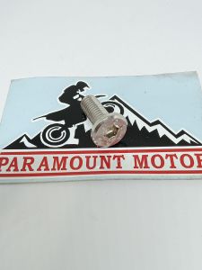 baut disc piringan cakram probolt model gepeng stainless universal semua motor