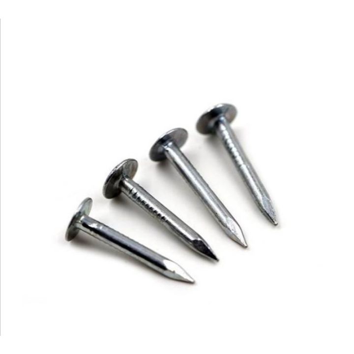 Galvanized Large Flat Head Roofing Nails Clout Nails Paku Kepala Rata Besar | Lazada