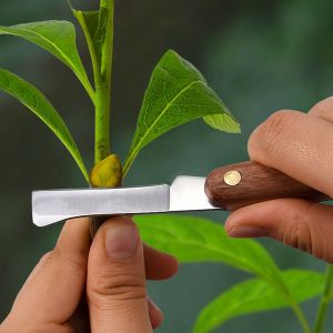 HJKF Thiết kế tiện dụng Thép không gỉ Cắt tỉa Cây Cây con Cắt cành Vật dụng làm vườn Dụng cụ cầm tay làm vườn Máy cắt cành Dao cắt tỉa