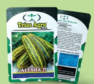 Benih Timun Suri Alesha 21 Isi 10 gr Tias Agro seed