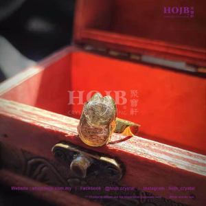 HOJB Natural Black SunStone 5A Fox S925 Gold Plated Ring (Adjustable Size) (5A S925)
