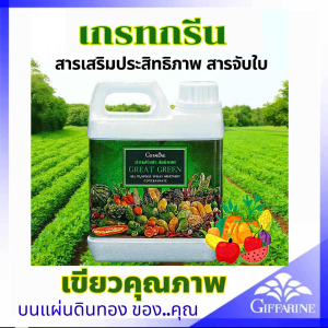 ส่งฟรี สารจับใบ สวน ปุ๋ย กิฟฟารีน เกรทกรีน สารเสริมประสิทธิภาพ คุณภาพสูง  ขนาดบรรจุ 5 ลิตร สำหรับ ฉีดพ่นทางใบ ดิน