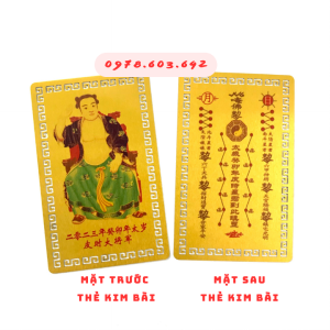 Kim Bài Thái Tuế 2023 Người Tuổi Tý Ngọ Mão  Dậu Thìn - Bằng Đồng - SP006055