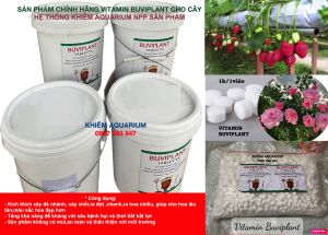 [TẶNG 35v ViTamin bổ sung Dinh Dưỡng Và Cho Cây - Hoa giúp cây khỏe bịch nhỏ 100V