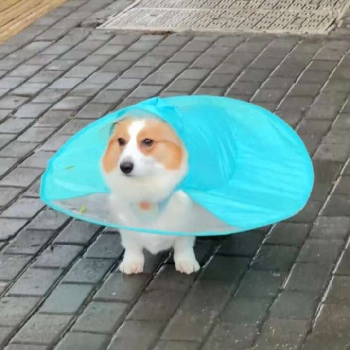 Dog corgi cape type umbrella hat UFO small and medium-sized dog