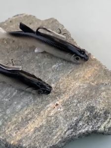 5PCS Soft Bait Fishing Lures for Freshwater 5pcs Swim Baits for Bass Fishing with Hooks Soft Fishing Bait for Bass Catfish Pike Fishing