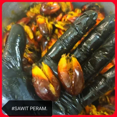 Umpan Sawit Peram 200gram Fishing Seedless Pancing Memancing Tanpa Biji Oil Palm