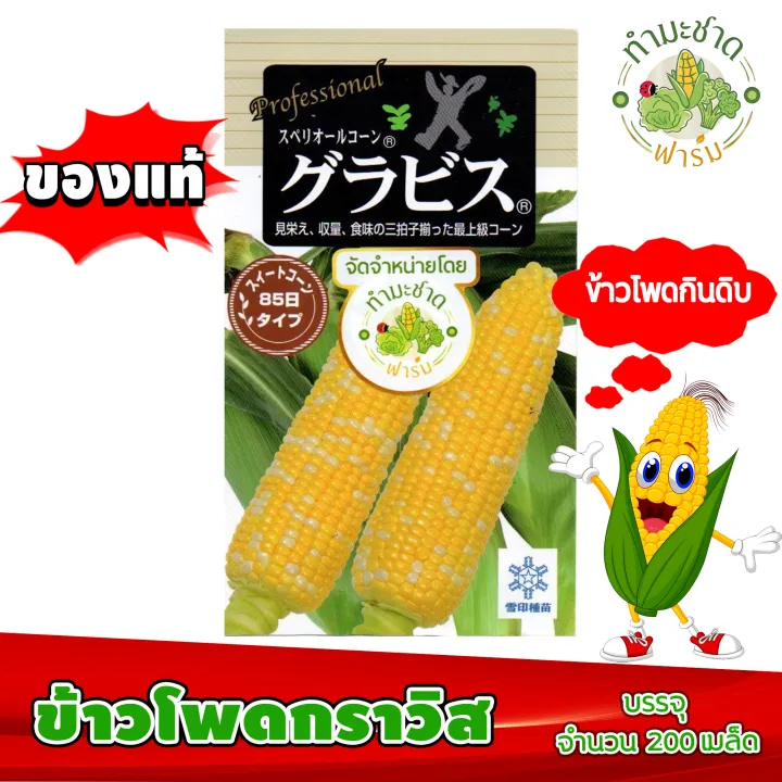 เมล็ดพันธุ์ข้าวโพดกราวิส 2สี Hokkaido Sweet Corn หวานแรง เนื้อนุ่ม