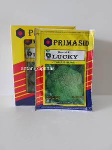 benih bibit brokoli LUCKY BEJO 1250 biji