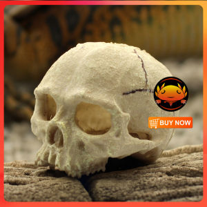 Skull Head Aquarium Decor Stunning Display for Fish Tanks and Reptile Habitats