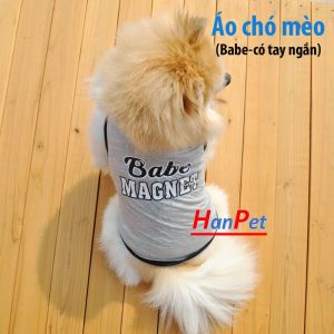 Quần áo chó mèo Babe tay ngắn cho thú cưng