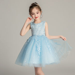 3 4 5 6 7 8 9 10 11 12 13 14 yrs old Bow Girls Princess dress Childrens Day Birthday Party Lace Bubble Summer Ball Gown Dance Show Piano Princess Dress
