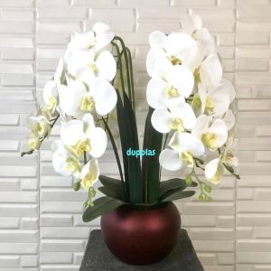Tanaman Artificial Pohon Hias Bunga Anggrek Putih Tangkai Juntai X6 Latex Pot Keramik Bulat Maroon Doff Dekorasi Rumah Aesthetic