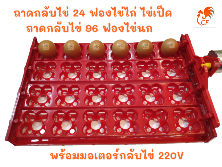 รางฟักไข่ 24 ฟอง สำหรับไข่ไก่ เป็ด หรือ 96 ฟอง สำหรับไข่นก Chickenfarm
