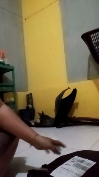 Buyer review video 2
