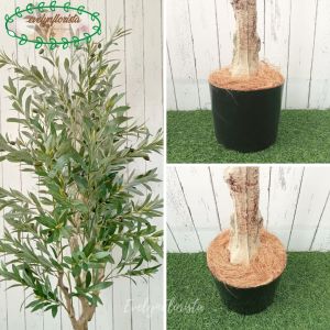 Pohon Artificial Pohon Zaitun Olive X3 T140 & T180 Latex Pot Dasar Hitam Dekorasi Ruang Tamu