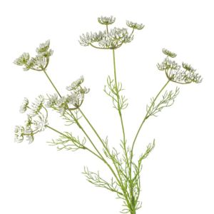 ZM10Q Beautiful Artificial Lace Flower Branch Plastic 5 Head Silk Fake Flowers DIY Vase Decor Elegant Simulated Green Plants Home Office Decor