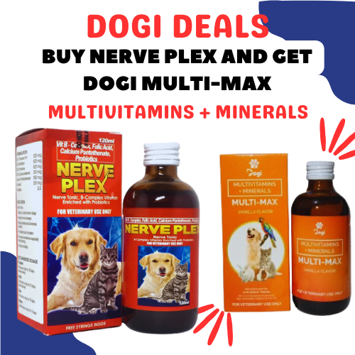 [RCG AGRIVET] DOGI DEALS BUY NERVE PLEX AND GET DOGI MULTI-MAX / PARA ...