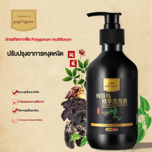 Premium Natural Black Hair Shampoo 3-in-1 Hair Color Changing Treatment Ginseng & Angelica Roots Vegan Paraben-Free 500ML