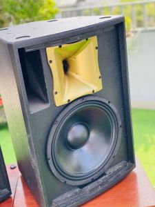 Loa karaoke cao cấp - kèm 2 MIcro  Maxtin 3 TẤC ĐƠN  màu sắc sang trọng chất âm mạnh mẽ bass cực căng phù hợp không gian giải trí gia đình karaoke phòng trà đám cưới quán cà phê