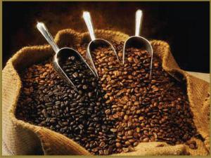 Biji Arabica Kopi Mandailing Sumatra