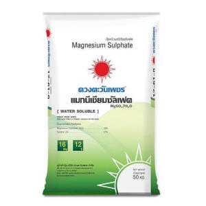 แมกนีเซียมซัลเฟตสีขาว MgSO4 สำหรับสีใบเขียว แบ่งบรรจุถุง 1 กก. สำหรับสวนและพืช แบบผงเกล็ดสีขาว (ดีเกลือฝรั่ง) ดวงตะวันเพชร