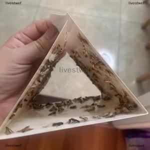 [COD] livestwef Home Kitchen And Clothing Adhesive Pantry Moth s With Pheromones Prime Clothes Closet Moth s Magic Moth Catcher