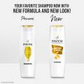 Pantene Daily Moisture Renewal Shampoo 300ml. 