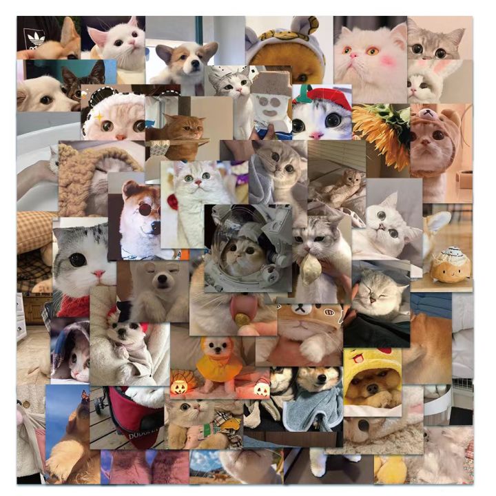 xs525-50 pcs cute animal cat and dog graffiti waterproof sticker ...