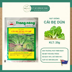 [EcoSeeds] Hạt Giống Cải Bẹ Dún (Cải Dún Cải Nhún) - Xuất Xứ New Zealand Sinh Trưởng Mạnh - Gói 20g