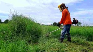 ใบมีดตัดเตียน ชุดใบตรง 4 ใบงอ 2