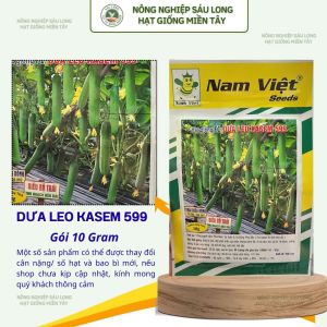 Hạt Giống Dưa Leo F1 Kasem 599 Trái Sai – 10g – Nam Việt Seeds