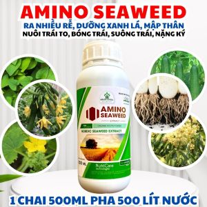 Amino Seaweed Extract 500ml – Axit Fulvic + Amino Hỗ Trợ Phát Triển Rễ Dưỡng Lá Nuôi Trái Lớn Bóng Vỏ
