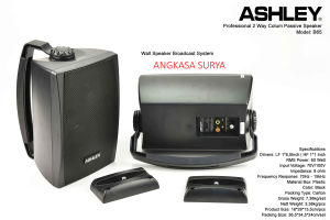 Speaker Pasif Ashley B65 Original / Wall Speaker 65 inch Monitor Ashley B 65 Passive