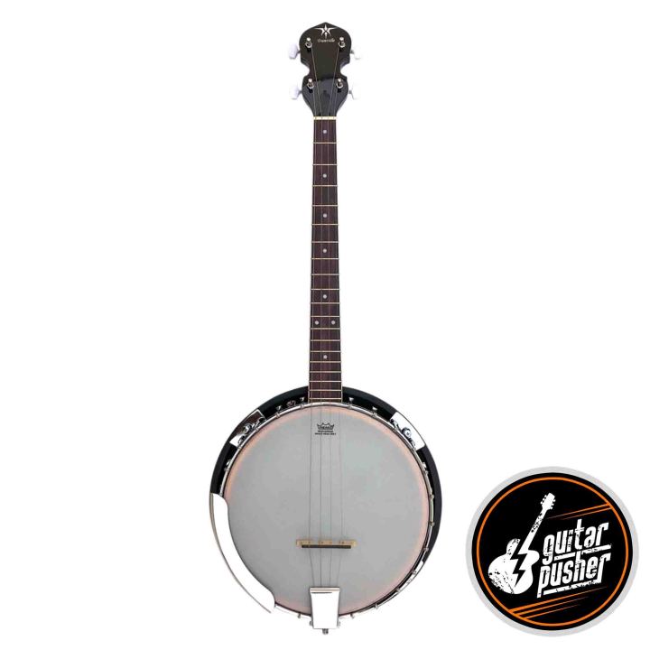 Danville BJ24 Banjo 5 String Resonator Banjo Lazada PH