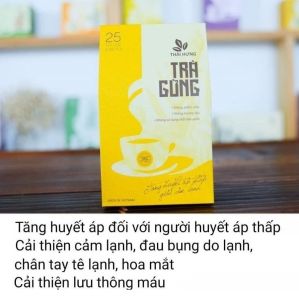 Combo 2 hộp Trà túi lọc Thái Hưng: Cà gai leo Thìa canh Đinh lăng Giảo cổ lam An gút hưng An dạ hưng Tía tô Gừng Xuyên tâm liên