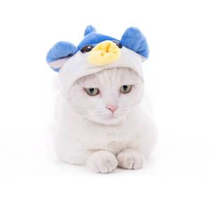 Cat Headgear Hat Soft and Cute Dog Cat Head Cover Christmas Halloween Costume Hats Cosplay Cap Pet Head Accessories