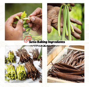 Imported Madagascar Vanilla Beans Grade A | Vanilla Pod | A级 香荚兰豆 | 马达加斯加产 | Perisa Vanila | Biji Vanila | Vanila