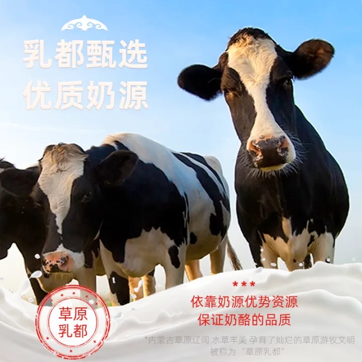 Yogurt%20Lumps%20Cane%20Sugar%20Free%20Milk%20Lumps%20Original%20Cheese%20%20Yogurt%20curd%20%20%20Sugar-free%20milk%20curd%20%20%20Inner%20Mongolia%20milk%20curd%20%20%20Original%20Cheese%20-152c4c8b%20-%20Image%208